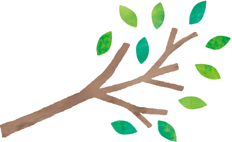 枝